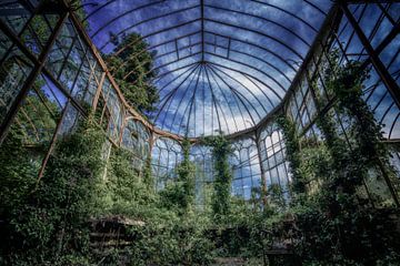 The Greenhouse van Kirsten Scholten