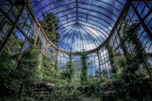 The Greenhouse