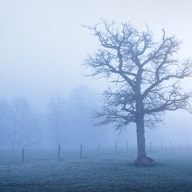 Een mistig zonsopkomst in de Belgsche Ardennen. van Rob Christiaans