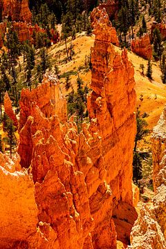 Landschap betoverende Hoodoos in Bryce Canyon National Park Utah USA van Dieter Walther