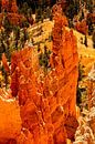 Landschap betoverende Hoodoos in Bryce Canyon National Park Utah USA van Dieter Walther thumbnail