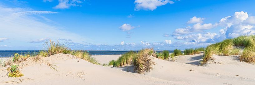 Dunes of Goeree and Kwade Hoek in panorama by eric van der eijk
