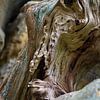 Holz und Sandstein vereinen sich 2 von Heidemuellerin
