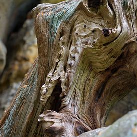 Wood and sandstone unite 2 by Heidemuellerin