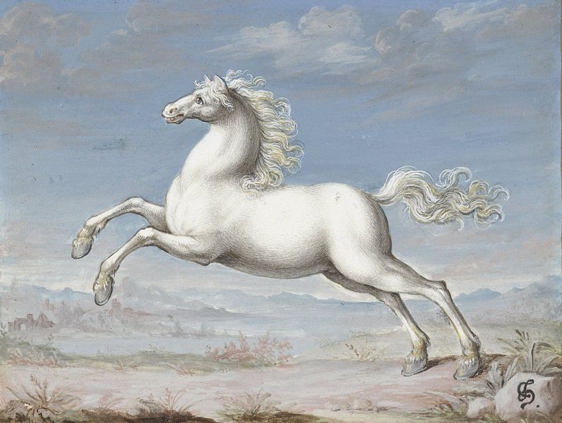 White horse, Joris Hoefnagel by Masterful Masters