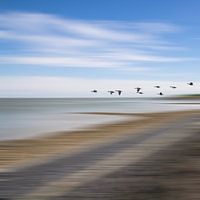 Hollandse Zen