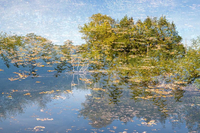 La Salle by Paulien Varkevisser