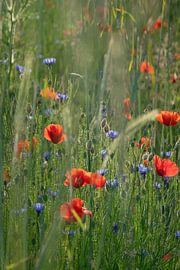 Rust in weide met wilde bloemen van Kimfaesdesign
