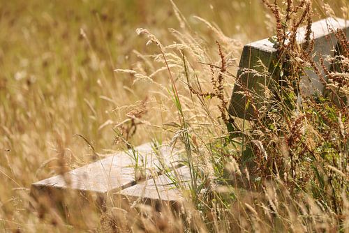 De Schoonheid van de Natuur – Tijdloze Wanddecoratie voor Jouw Interieur van PhotoManiX Artworks