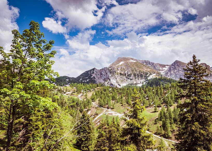 View of the Watzmann in the Berchtesgaden Alps by Animaflora PicsStock