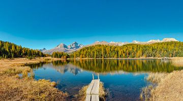 Lac Lej da Staz, Sankt Moritz, Grisons, Engadine, Suisse sur Rene van der Meer
