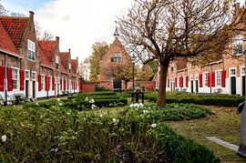 The Heilige Geesthofje in the centre of Naaldwijk,... by Nicolaas Digi Art