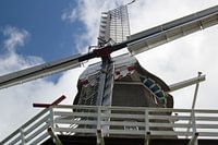 Windmill Zeldenrust in Dokkum
