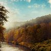 Neblige Herbststimmung am Fluß Wupper von Dirk Wüstenhagen