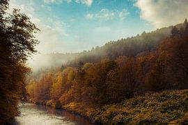 Neblige Herbststimmung am Fluß Wupper von Dirk Wüstenhagen