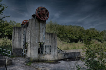 Gemaaltje in Waterloopbos