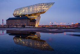 Reflexion der Hafenbehörde von Steven Driesen