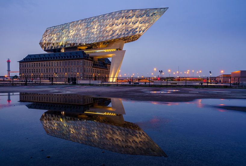 Reflectie Havenbedrijf van Steven Driesen