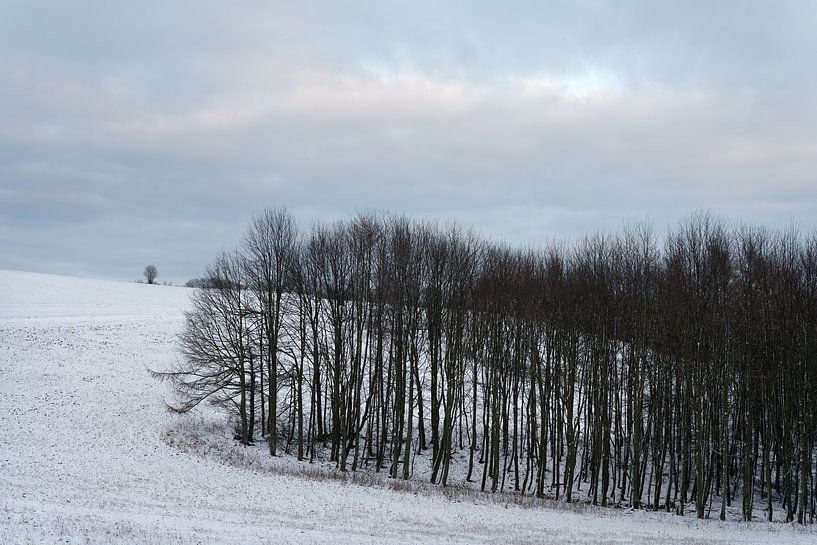 Winterabend im Osterzgebirge von Ralf Lehmann
