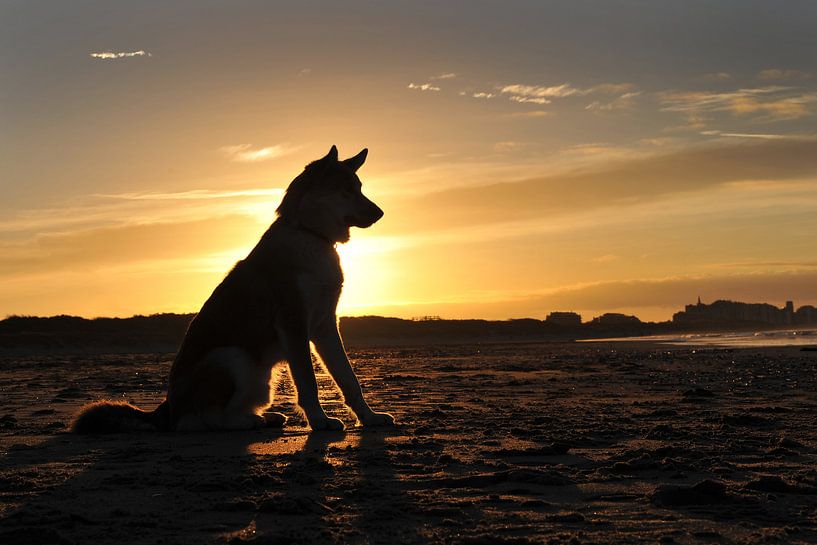 Vrijheid... von Annick Cornu