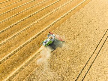 Maaidorser oogst tarwe in de zomer van bovenaf gezien