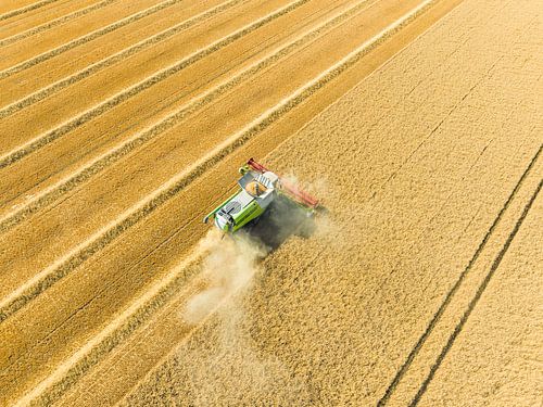 Maaidorser oogst tarwe in de zomer van bovenaf gezien van Sjoerd van der Wal Fotografie