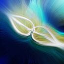 Flower of light. Abstract Geometric Fireworks. White glow. by Dina Dankers thumbnail