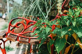 Red flower bench by Lisanne Koopmans