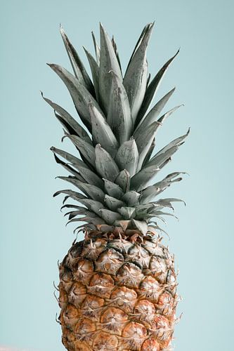 Ananas Blauw 01
