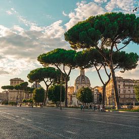 Straße mit Brocolli-Bäumen in Rom von Dennis van den Worm