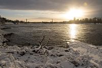 Schnee am Rhein
