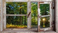 Fensterblick