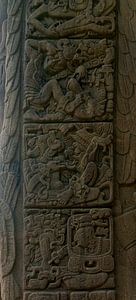 Guatemala: Archeologisch park en ruïnes van Quirigua