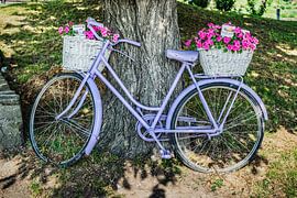Purple bicycle with flowers by Gunter Kirsch