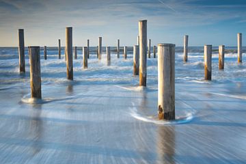 Palendorp Petten van Bas Verschoor