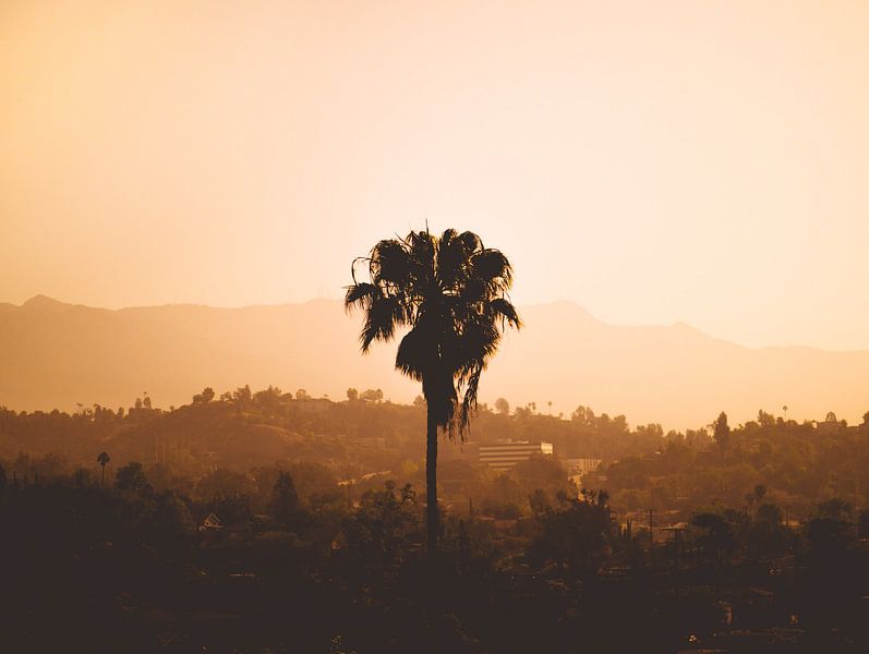 Los Angeles von Hello Pompoyo