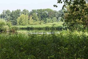 Amsterdamse bos vanaf de oever