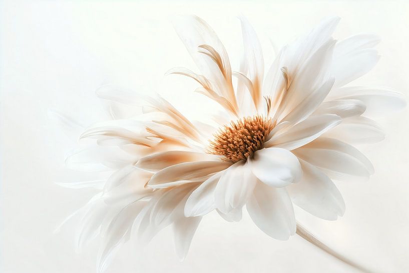 Delicate White no.5 von Studio BB