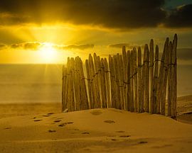 Fence on the beach by Wim van Beelen