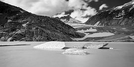 The Rhone Glacier by Patrick van Lion