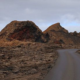 Timanfaya National Park van Henk Langerak