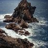 Madeiras Küste von Thomas Weber