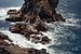 Madeiras Küste von Thomas Weber