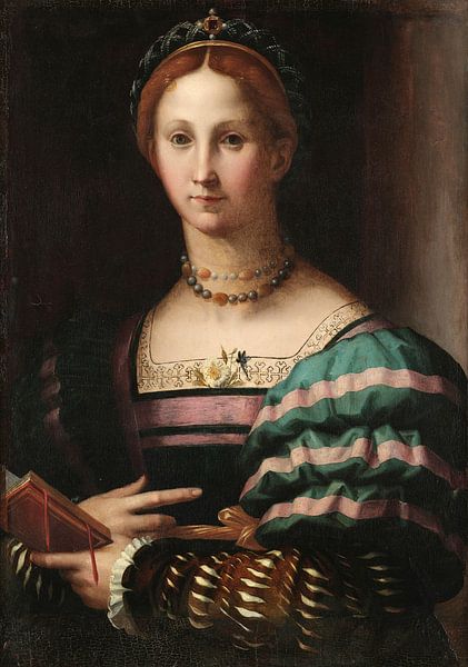 Portret van een dame, Bronzino van Meesterlijcke Meesters