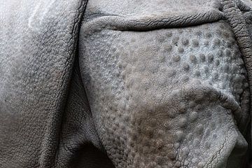 Detailfoto van een neushoorn van Mariska van der Heijden