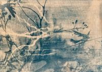 BLUE BIRD