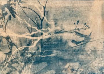 BLUE BIRD van RAR Kramer - Visual poet