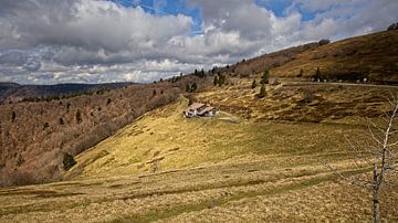 Hohneck / Vosges / Alsace sur Rob Boon