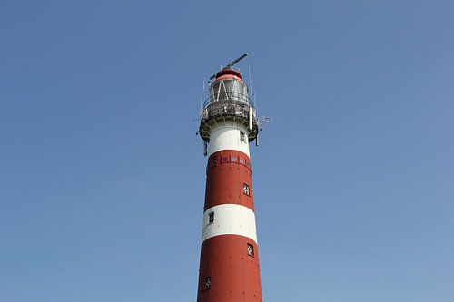 Bornrif van Sander de Jong