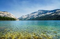 Tenaya Lake van Monique van Helden thumbnail